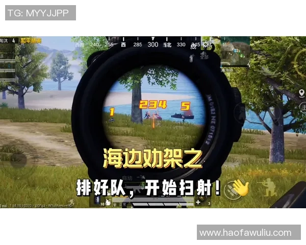 和平精英焦点：V5的团队协作探讨