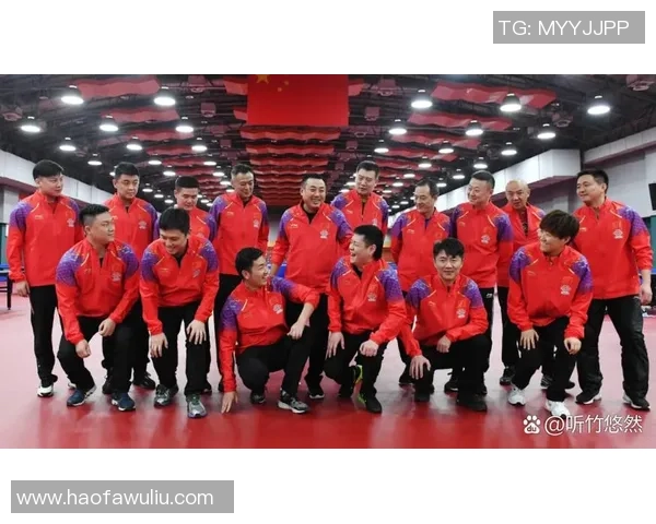 最新乒乓球实力TOP10：杭州乒乓球队领跑