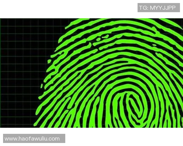 独家分析：V5的状态对比