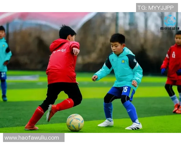 足球纪实：记录南京足球队的成长故事